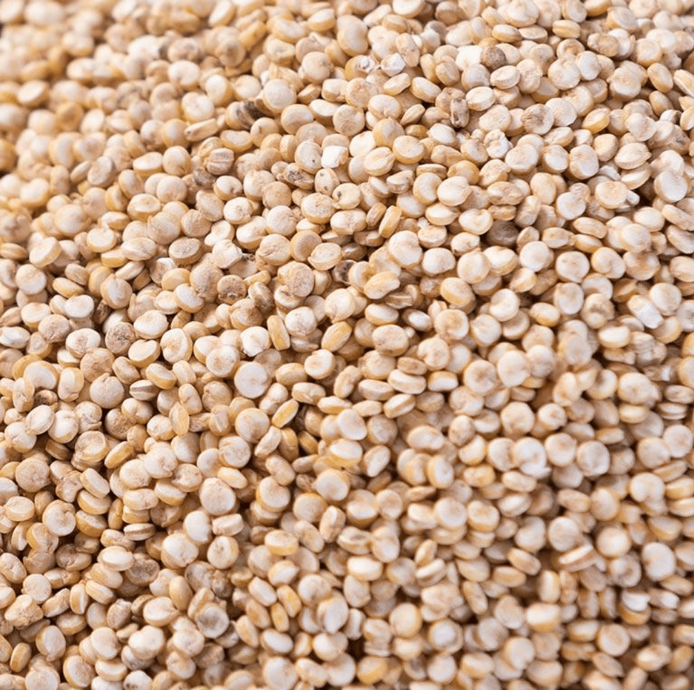 Image de Quinoa bio de Normandie